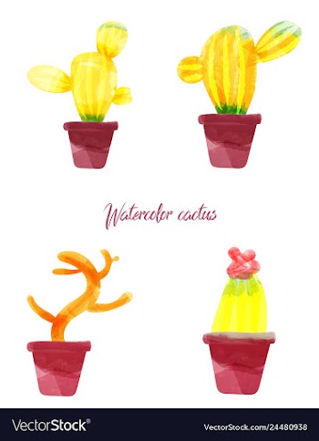 Cactus isolated on white background watercolor vector image