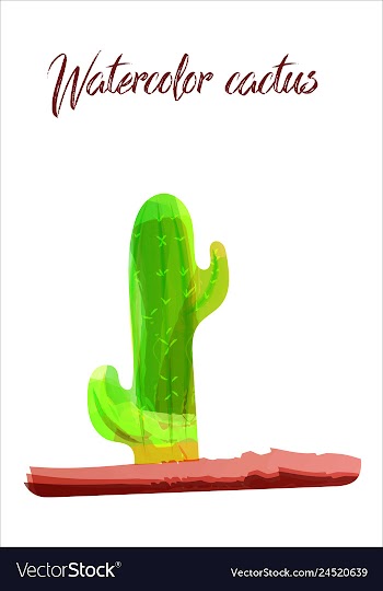 Cactus isolated on white background watercolor vector image
