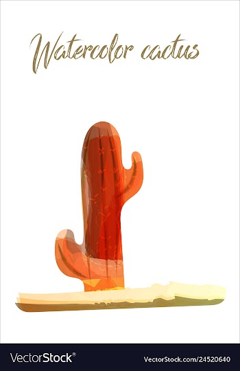 Cactus isolated on white background watercolor vector image