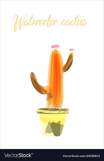 Cactus isolated on white background watercolor vector image