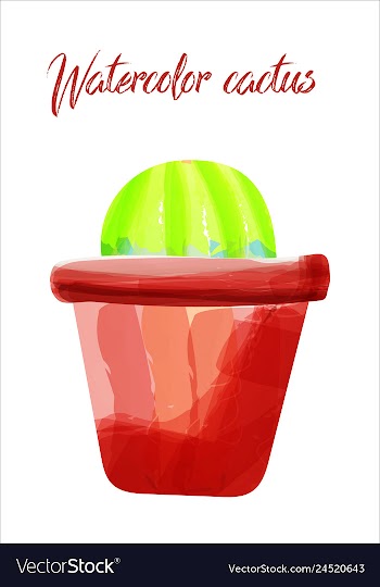 Cactus isolated on white background watercolor vector image