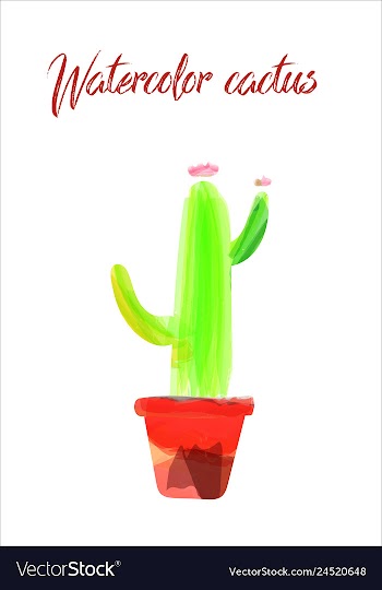 Cactus isolated on white background watercolor vector image