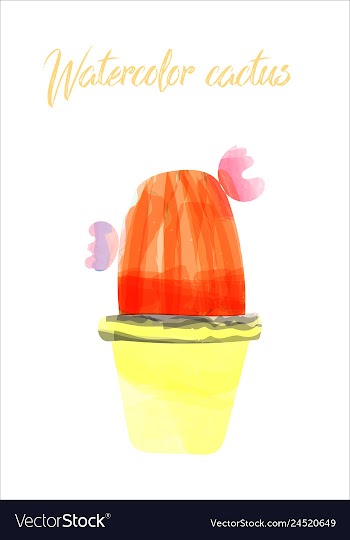 Cactus isolated on white background watercolor vector image