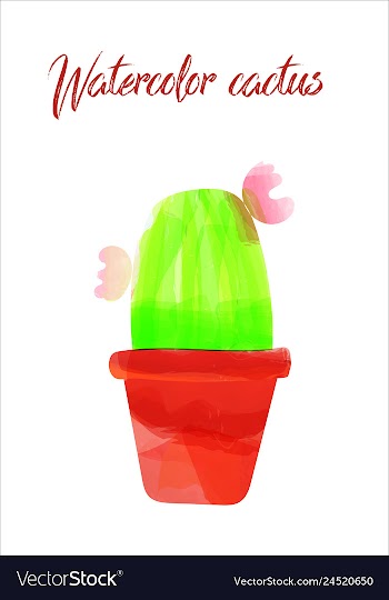 Cactus isolated on white background watercolor vector image