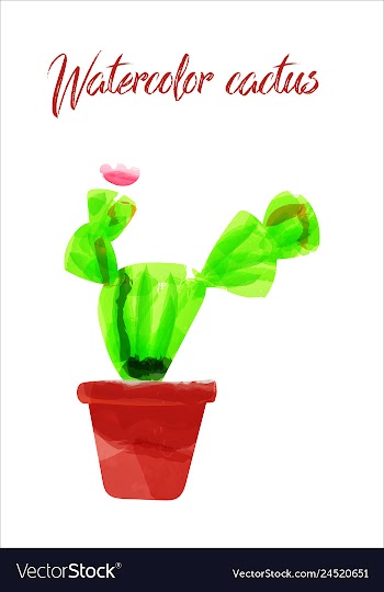 Cactus isolated on white background watercolor vector image