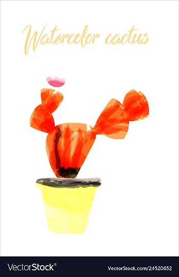 Cactus isolated on white background watercolor vector image