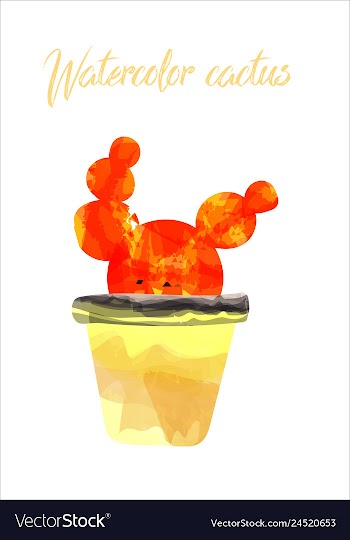 Cactus isolated on white background watercolor vector image