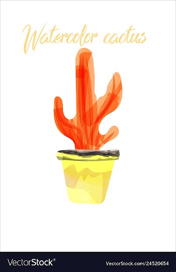 Cactus isolated on white background watercolor vector image