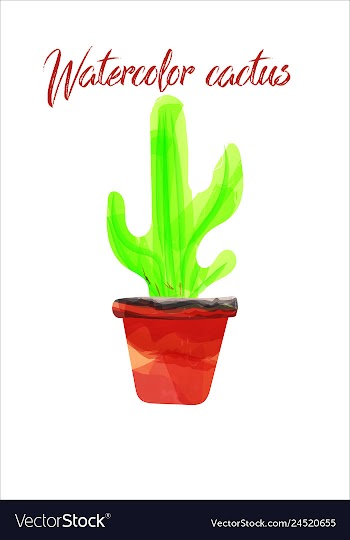 Cactus isolated on white background watercolor vector image