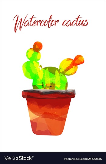 Cactus isolated on white background watercolor vector image