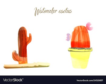 Cactus isolated on white background watercolor vector image