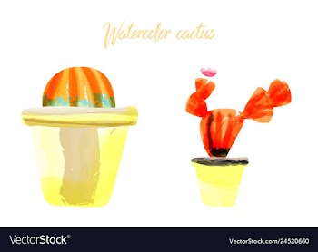 Cactus isolated on white background watercolor vector image