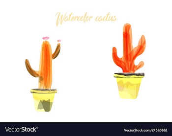 Cactus isolated on white background watercolor vector image