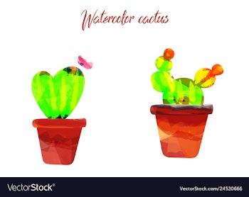 Cactus isolated on white background watercolor vector image