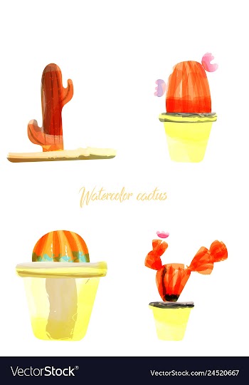 Cactus isolated on white background watercolor vector image