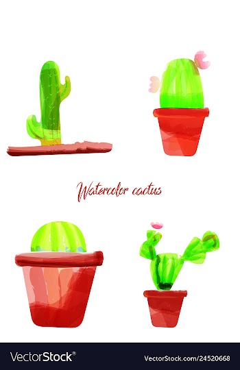 Cactus isolated on white background watercolor vector image
