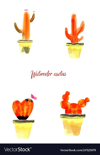 Cactus isolated on white background watercolor vector image
