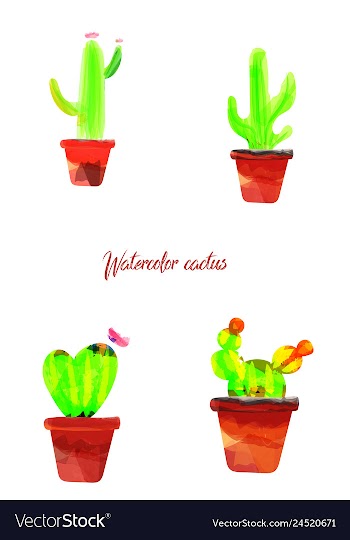 Cactus isolated on white background watercolor vector image