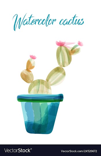 Cactus isolated on white background watercolor vector image