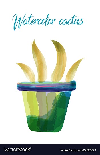 Cactus isolated on white background watercolor vector image