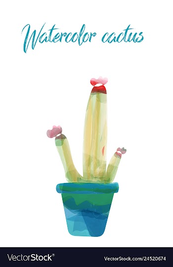 Cactus isolated on white background watercolor vector image