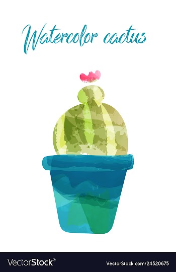 Cactus isolated on white background watercolor vector image
