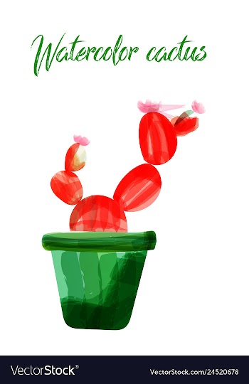 Cactus isolated on white background watercolor vector image