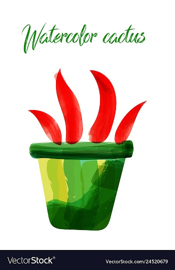Cactus isolated on white background watercolor vector image