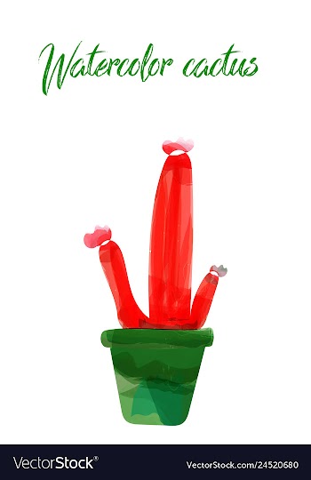 Cactus isolated on white background watercolor vector image