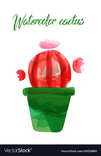 Cactus isolated on white background watercolor vector image