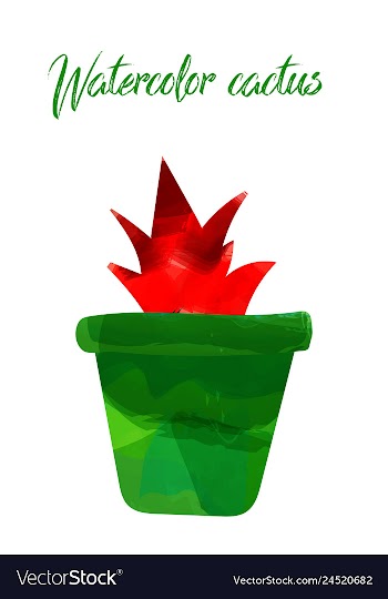 Cactus isolated on white background watercolor vector image