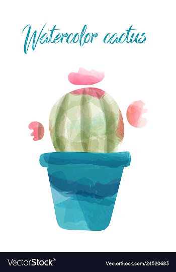 Cactus isolated on white background watercolor vector image