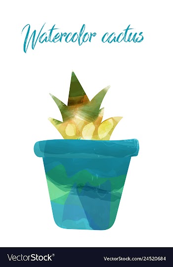 Cactus isolated on white background watercolor vector image