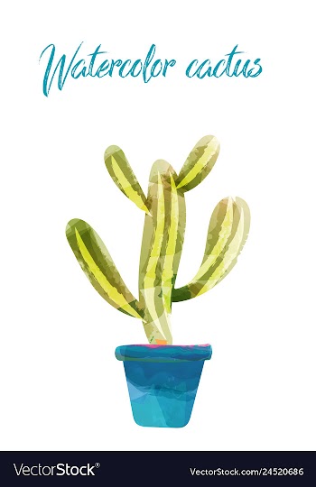 Cactus isolated on white background watercolor vector image