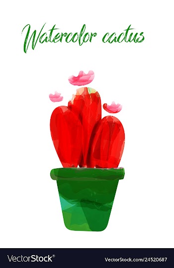 Cactus isolated on white background watercolor vector image