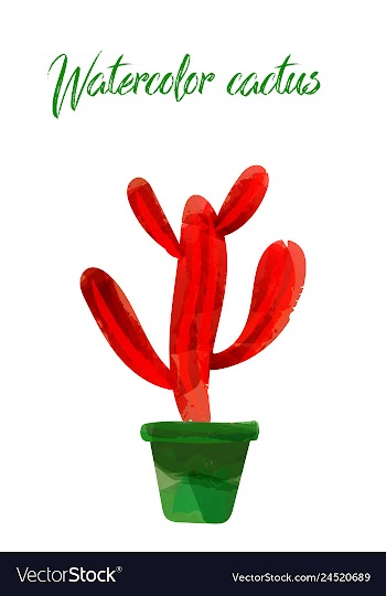 Cactus isolated on white background watercolor vector image