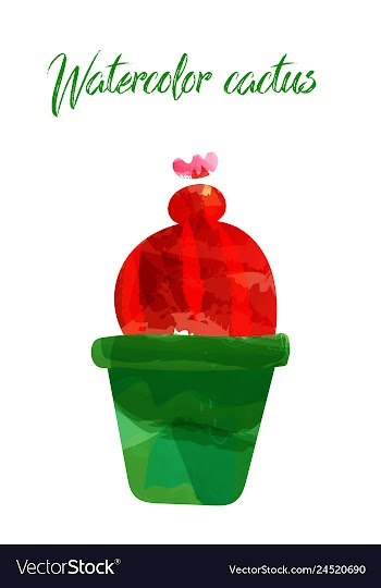 Cactus isolated on white background watercolor vector image