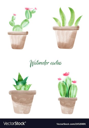 Cactus isolated on white background watercolor vector image