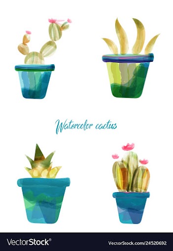 Cactus isolated on white background watercolor vector image