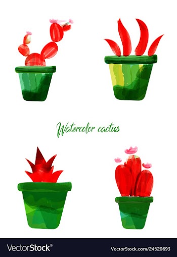 Cactus isolated on white background watercolor vector image