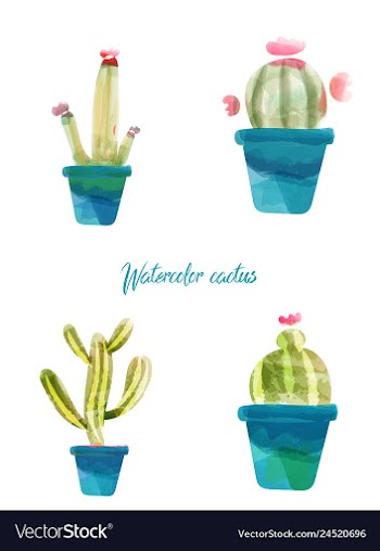 Cactus isolated on white background watercolor vector image