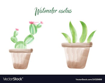 Cactus isolated on white background watercolor vector image