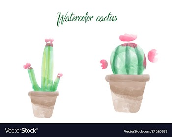 Cactus isolated on white background watercolor vector image