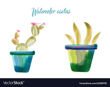 Cactus isolated on white background watercolor vector image