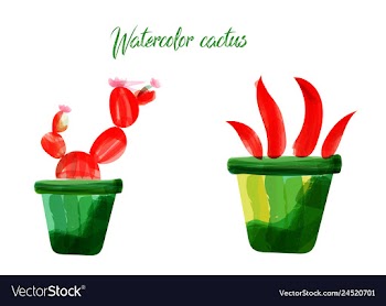 Cactus isolated on white background watercolor vector image