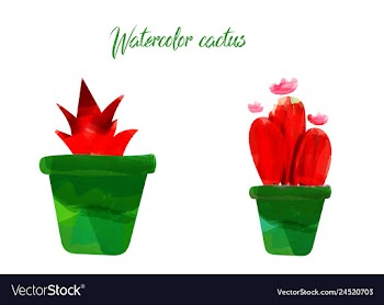 Cactus isolated on white background watercolor vector image