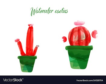 Cactus isolated on white background watercolor vector image