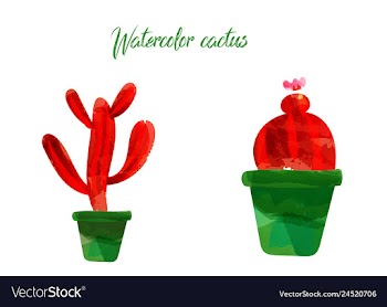 Cactus isolated on white background watercolor vector image