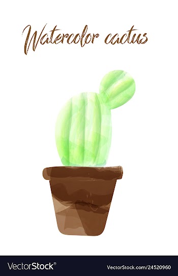 Cactus isolated on white background watercolor vector image