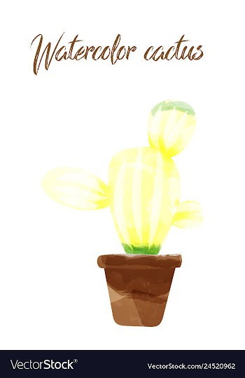 Cactus isolated on white background watercolor vector image